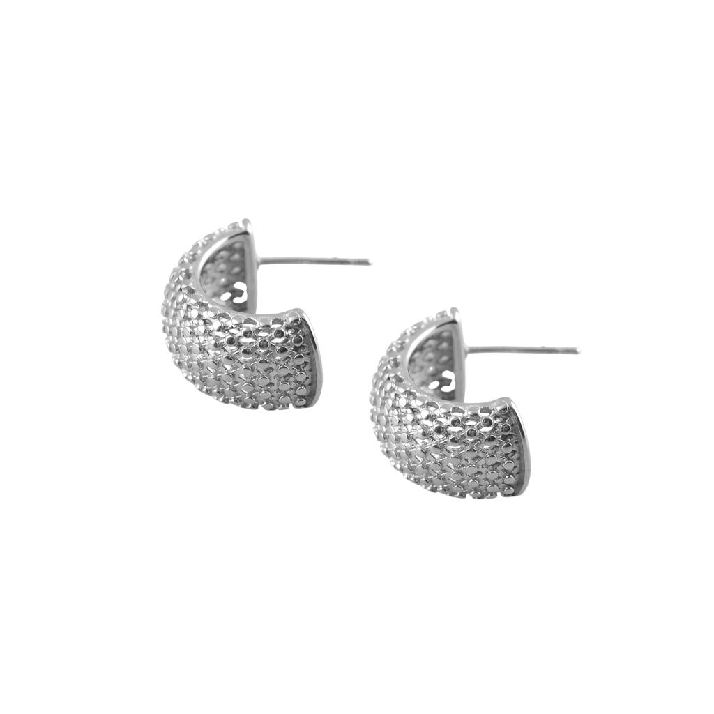 Stainless Steel Curve Earring with Texture