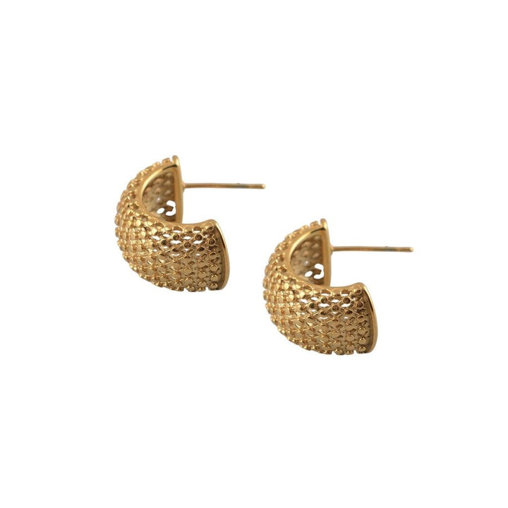 Stainless Steel Curve Earring with Texture Gold Plated