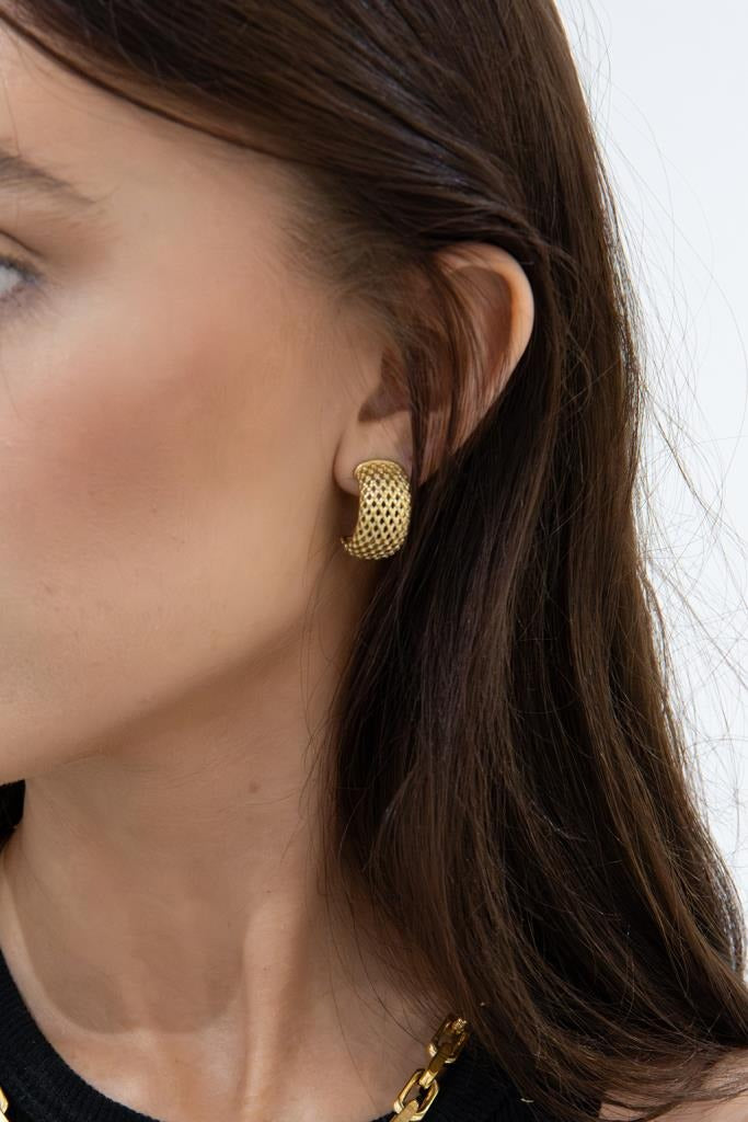 Stainless Steel Curve Earring with Texture Gold Plated