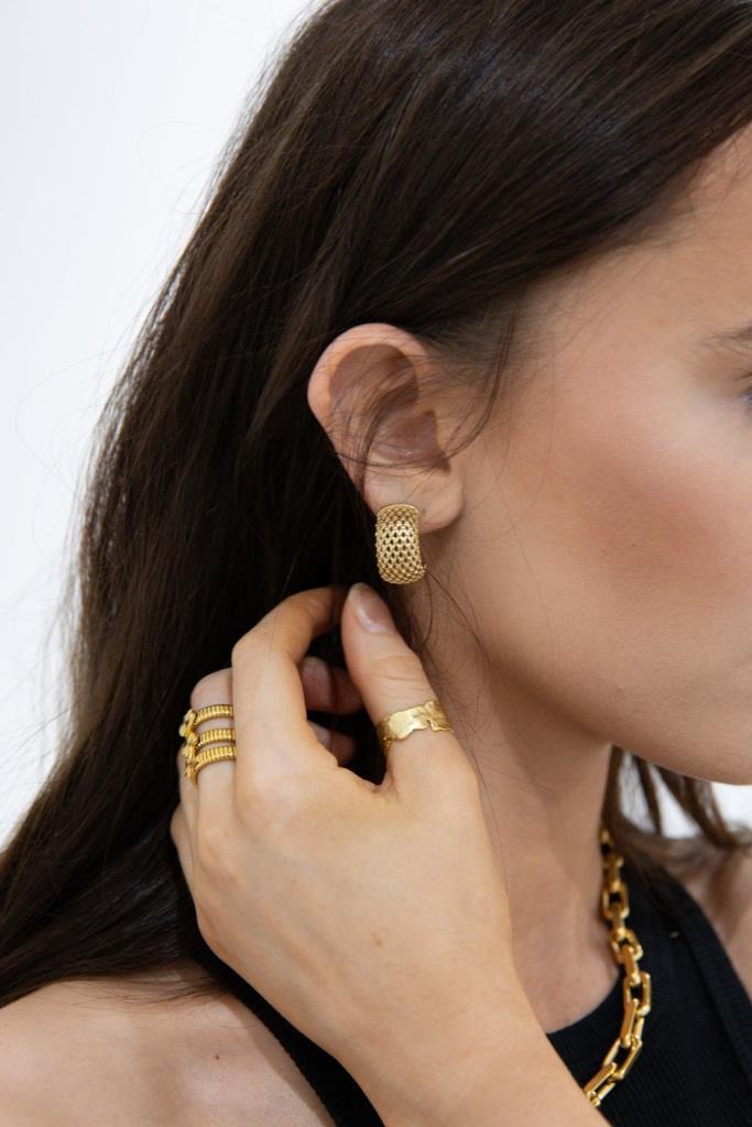 Stainless Steel Curve Earring with Texture Gold Plated